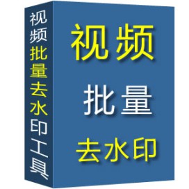 视频批量去水印工具