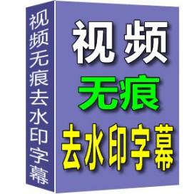 视频无痕去水印去字幕